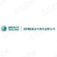 国网能源和丰煤电有限公司